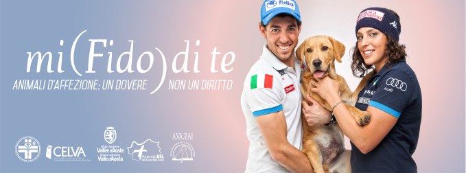 Banner-CELVA_B+P-674x250--01